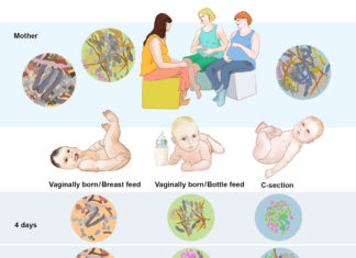 Gut microbiome could help doctors personalize nutrients and feeding patterns to help the most vulnerable babies get a stronger start to life