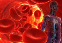 Individual cells within the same heart cope differently with high blood pressure
