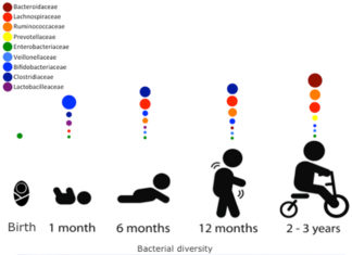 Infant microbiome development : identified three distinct phases