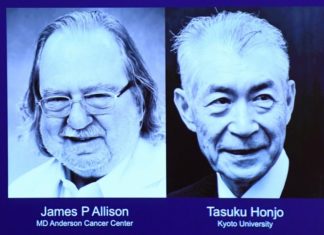 Two immunologists, James Allison of the US and Tasuku Honjo of Japan, won the 2018 Nobel Medicine Prize for research into how the body’s natural defences can fight cancer