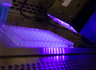Light-active version of heme may help people infected with MRSA