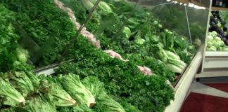 Macular degeneration : Eating leafy greens reduce your risk of developing AMD