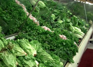 Macular degeneration : Eating leafy greens reduce your risk of developing AMD