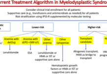 Researchers at Mayo Clinic have developed a new genetics-based prognostic tool for myelodysplastic syndrome