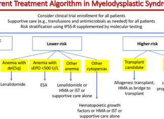 Researchers at Mayo Clinic have developed a new genetics-based prognostic tool for myelodysplastic syndrome