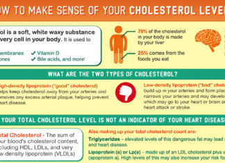 International group of physicians and researchers : No connection between LDL cholesterol levels and heart disease