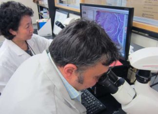 Kick-start Alzheimer :Long-term exposure to periodontal disease bacteria causes inflammation and degeneration of brain neurons
