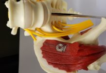 Researchers have developed the first bioelectronic medicine: an implantable, biodegradable wireless device that speeds nerve regeneration