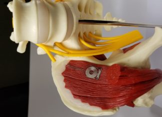 Researchers have developed the first bioelectronic medicine: an implantable, biodegradable wireless device that speeds nerve regeneration