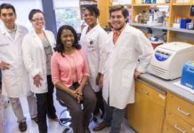 Researchers sheds new light on the cause of pulmonary fibrosis and demonstrates a way to impede the disease