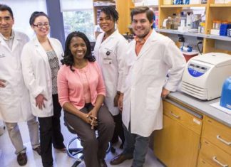 Researchers sheds new light on the cause of pulmonary fibrosis and demonstrates a way to impede the disease