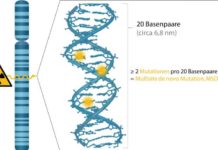 Soldiers at radar installations passed genetic alterations to their children