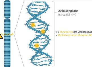 Soldiers at radar installations passed genetic alterations to their children
