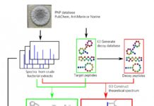 The algorithm called Dereplicator+ efficiently finds antibiotic candidates