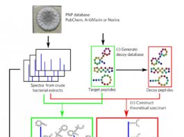 The algorithm called Dereplicator+ efficiently finds antibiotic candidates