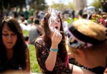 The correlation between attending the schools and marijuana abuse is particularly consistent for boys