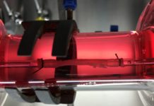 The world’s first functional oesophagus engineered from stem cells has been grown and successfully transplanted