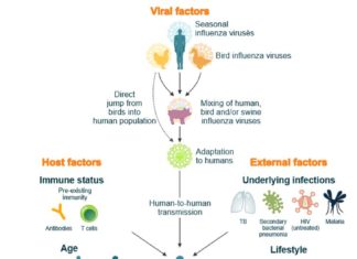 We must to remember the Lessons from the 1918 flu pandemic : today the death toll could be as high as 147 million