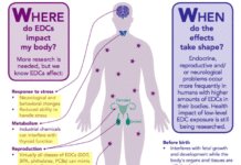 Woman’s reproductive history could impact how the brain responds to hormones later in life