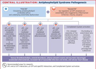 Levels of antiphospholipid antibodies, which are associated with rheumatic diseases, are also elevated in myocardial infarction without any autoimmune co-morbidity