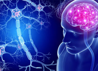 The entrainment of theta brain waves with a commercially available device not only enhances theta wave activity, but also boosts memory performance