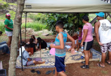 A community-randomized clinical trial of the Children’s Healthy Living Program (CHL) has decreased overweight and obesity prevalence among Pacific Island children