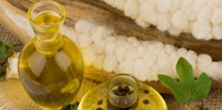 Researchers have found that a high-fat diet enriched with cottonseed oil drastically improved cholesterol profiles in young adult men