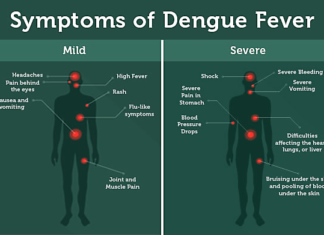 Dengue fever : new vaccine delivered with nanotechnology targets all four virus serotypes