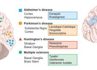Depression or sleep disturbance in older adults may be linked to accumulation of tau protein into NF tangles in the brainstem – symptoms is the early Alzheimer’s