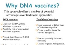 Researchers have developed less expensive way to produce vaccines by up to 80 percent