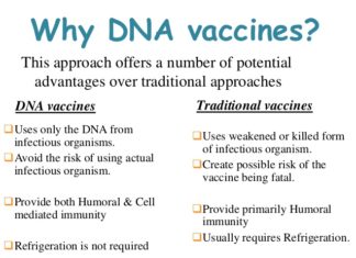 Researchers have developed less expensive way to produce vaccines by up to 80 percent