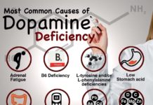 Dopamine is linked to change in beliefs