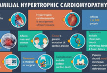 When a young athlete suddenly dies of a heart attack, chances are high that they suffer from familial hypertrophic cardiomyopathy (HCM)