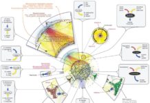 Researchers is calling for the creation of a global microbiota vault to protect the long-term health of humanity