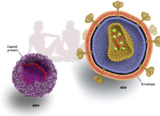 Research has for the first time identified individual types of the human papillomavirus linked to HIV infection