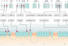 Research team has discovered a new genetic cause for a severe childhood epilepsy syndrome