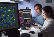 It is possible to reprogram one mature neuron type into another without first reverting it to a stem-cell-like state
