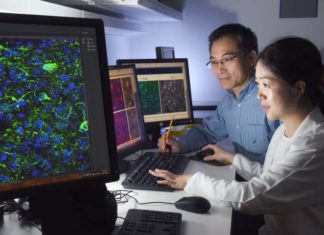 It is possible to reprogram one mature neuron type into another without first reverting it to a stem-cell-like state