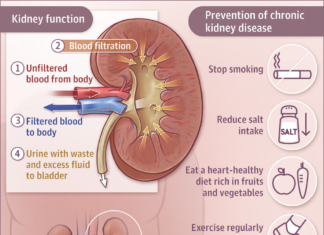 Renal failure : Keeping phosphorus under control to improve the life quality of patients
