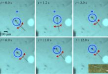 MagnetoSperm : Tiny Robots Swim Around Your Body Delivering Drugs