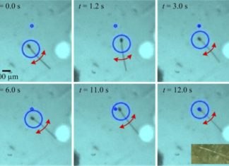 MagnetoSperm : Tiny Robots Swim Around Your Body Delivering Drugs