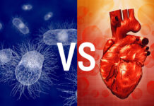 Healthy gut microbiome is important for recovery after a heart attack