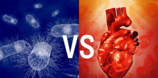 Healthy gut microbiome is important for recovery after a heart attack