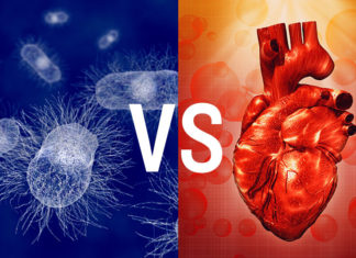 Healthy gut microbiome is important for recovery after a heart attack