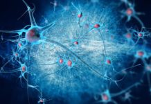 Researchers report activating microglia may help reduce the imbalance between neuroprotection and neurotoxicity for neurodegenerative diseases