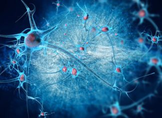 Researchers report activating microglia may help reduce the imbalance between neuroprotection and neurotoxicity for neurodegenerative diseases