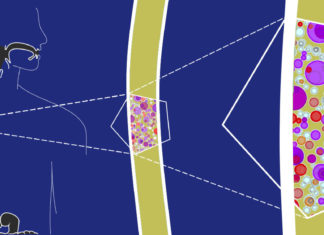 By the time we reach middle age, more than half of the oesophagus in healthy people has been taken over by cells carrying mutations in cancer genes