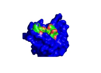 new compound enhances the efficacy of proteasome inhibitors (PIs), the standard-of-care for the treatment of multiple myeloma (MM)
