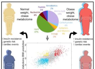 New ways to measure obesity
