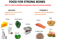 Nutrition has a greater impact on bone mass and strength than exercise